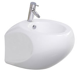 Wall hung bidet