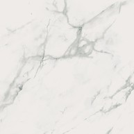 Calacatta Marble White Polished Matt