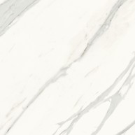 Calacatta Gold Polished Rect
