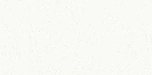 FARISA WHITE INSERTO SATIN RECT