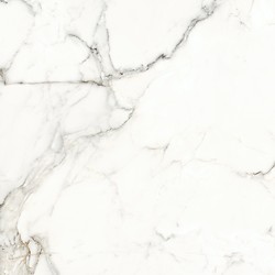 Calacatta Monet White Satin Rect