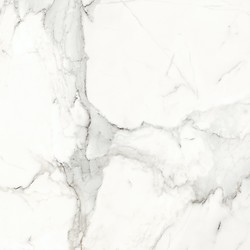 Calacatta Monet White Satin Rect