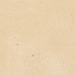 SMALL TERRAZZO STONE WARM BEIGE MATT RECT 59,8X59,8 G1