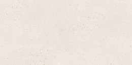 SMALL TERRAZZO STONE WHITE MATT RECT 59,8X119,8 G1