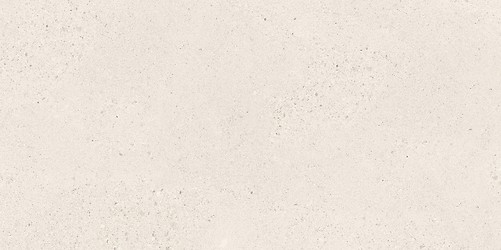 SMALL TERRAZZO STONE WHITE MATT RECT 59,8X119,8 G1