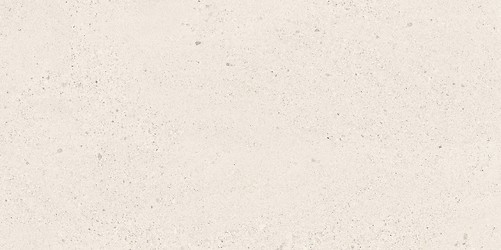 SMALL TERRAZZO STONE WHITE MATT RECT 59,8X119,8 G1
