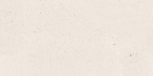 SMALL TERRAZZO STONE WHITE MATT RECT 59,8X119,8 G1