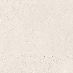 SMALL TERRAZZO STONE WHITE MATT RECT 59,8X59,8 G1