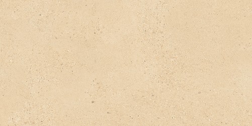 SMALL TERRAZZO STONE WARM BEIGE MATT RECT 59,8X119,8 G1