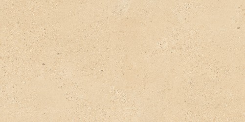 SMALL TERRAZZO STONE WARM BEIGE MATT RECT 59,8X119,8 G1
