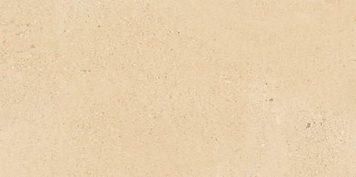 SMALL TERRAZZO STONE WARM BEIGE MATT RECT 59,8X119,8 G1