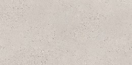 SMALL TERRAZZO STONE COLD GREY MATT RECT 59,8X119,8 G1