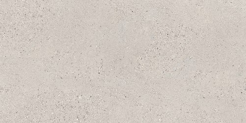 SMALL TERRAZZO STONE COLD GREY MATT RECT 59,8X119,8 G1