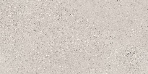 SMALL TERRAZZO STONE COLD GREY MATT RECT 59,8X119,8 G1