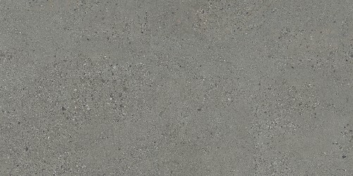 SMALL TERRAZZO STONE GREY MATT RECT 59,8X119,8 G1