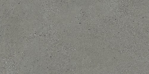 SMALL TERRAZZO STONE GREY MATT RECT 59,8X119,8 G1