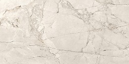 SILVER ROOT LIGHT GREY MATT RECT 59,8X119,8 G1