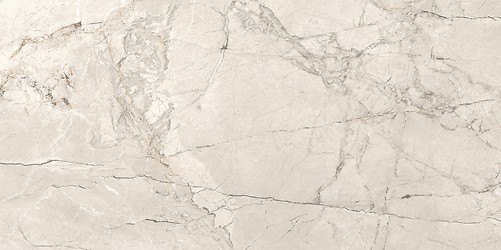 SILVER ROOT LIGHT GREY MATT RECT 59,8X119,8 G1
