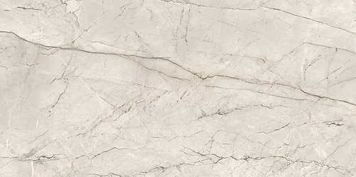 SILVER ROOT LIGHT GREY MATT RECT 59,8X119,8 G1