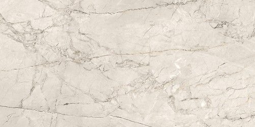 SILVER ROOT LIGHT GREY MATT RECT 59,8X119,8 G1