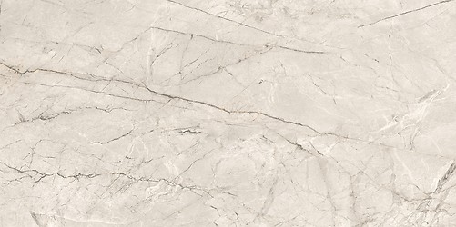 SILVER ROOT LIGHT GREY MATT RECT 59,8X119,8 G1