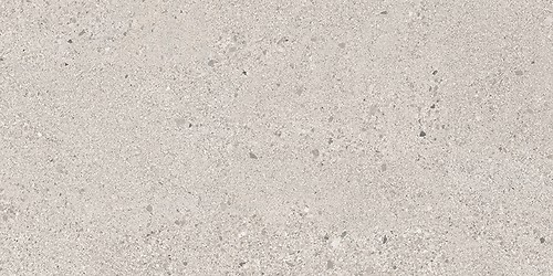 SMALL TERRAZZO STONE COLD GREY MATT RECT 29,8X59,8 G1