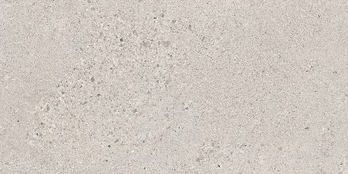 SMALL TERRAZZO STONE COLD GREY MATT RECT 29,8X59,8 G1