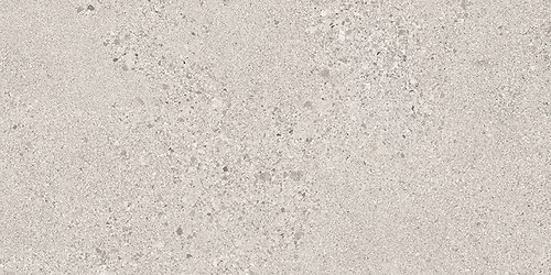 SMALL TERRAZZO STONE COLD GREY MATT RECT 29,8X59,8 G1