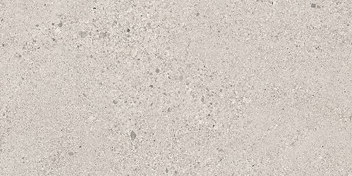 SMALL TERRAZZO STONE COLD GREY MATT RECT 29,8X59,8 G1