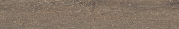 LIV BEECH WOOD BROWN MATT RECT 19,8X119,8 G1
