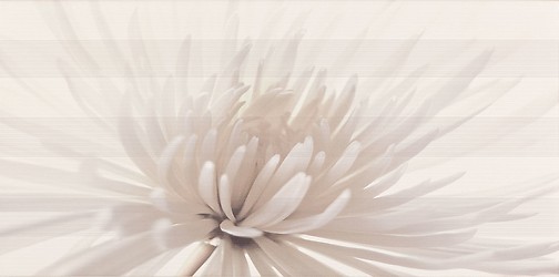 AVANGARDE WHITE INSERTO FLOWER