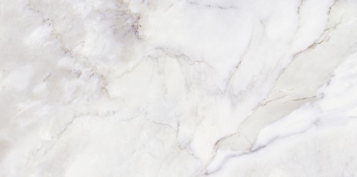 OLIMPIA WHITE GLOSSY
