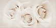 CAMELIA INSERTO FLOWER