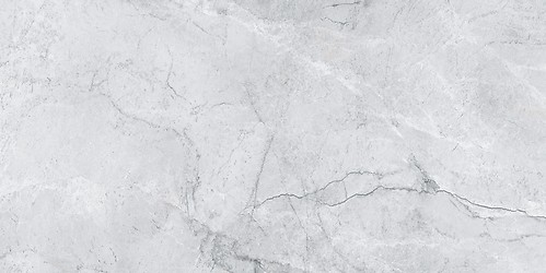 LIORA GREY GLOSSY